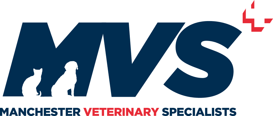 Manchester Veterinary Specialists